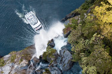 Crucero por la naturaleza de Milford Sound